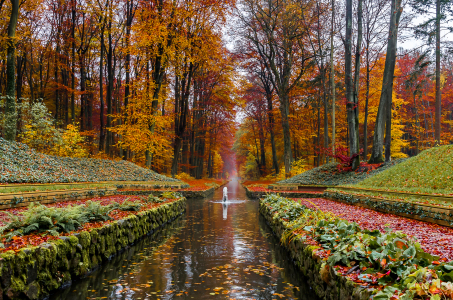 Bild-Nr: 11679296 Schlosspark Ludwigslust Erstellt von: photographies-and-more