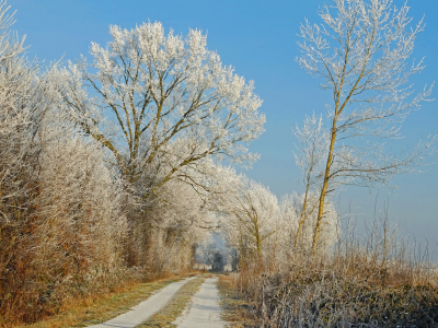 Bild-Nr: 11679722 Winterwanderweg Erstellt von: Ostfriese