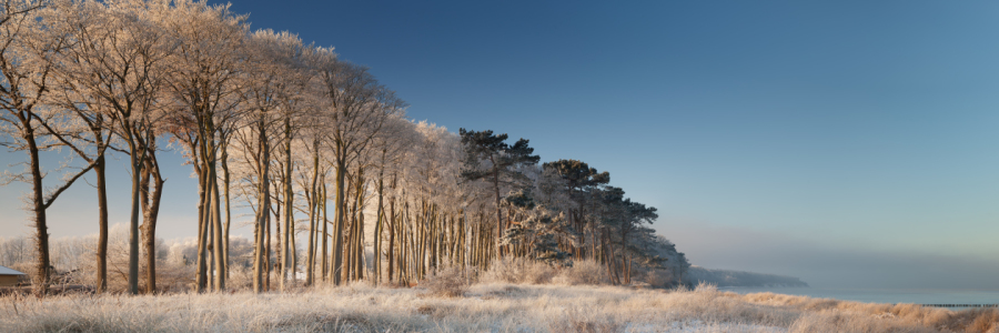 Bild-Nr: 11679734 Winterpanorama Erstellt von: FotoDeHRO