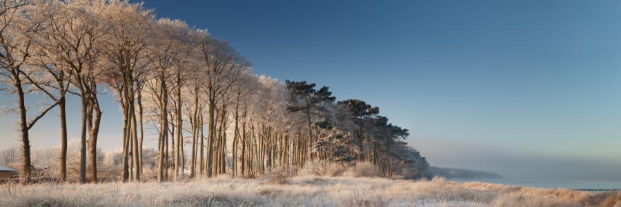 Bild-Nr: 11679734 Winterpanorama Erstellt von: FotoDeHRO