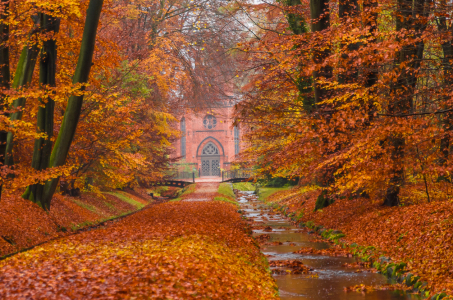Bild-Nr: 11680162 Schlosspark Ludwigslust Erstellt von: photographies-and-more