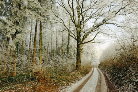 Bild-Nr: 11681460 Winterlandschaft Erstellt von: Ostfriese