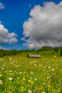 Bild-Nr: 11681658 Frühling in Bayern Erstellt von: Achim Thomae