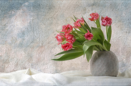Bild-Nr: 11681748 Malerische Tulpen Erstellt von: Rolf Eschbach