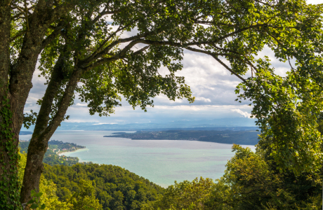 Bild-Nr: 11682300 Haldenhof Panorama Bodensee Erstellt von: Kunze Kunze