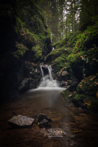 Bild-Nr: 11688388 Wasserfall im Schwarzwald Erstellt von: lightmining