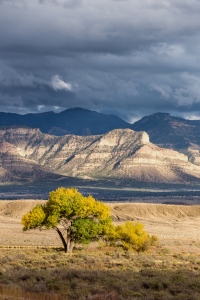 Bild-Nr: 11691016 Utah Landscape Erstellt von: TomKli