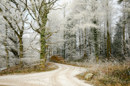 Bild-Nr: 11692850 Naturpark Westensee Erstellt von: Ostfriese