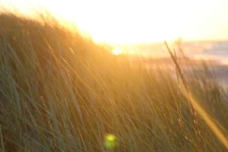 Bild-Nr: 11694550 Sonnenaufgang am Meer Erstellt von: Bild21