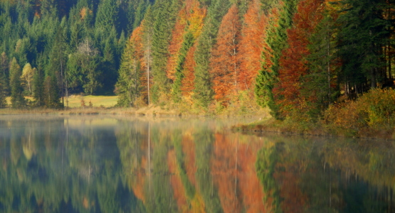 Bild-Nr: 11695354 Herbst am See Erstellt von: GUGIGEI