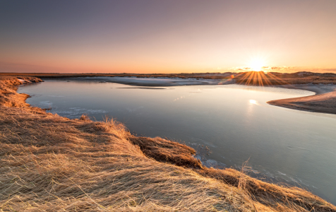 Bild-Nr: 11701900 Salzwiesen St.Peter Ording Erstellt von: Nordbilder