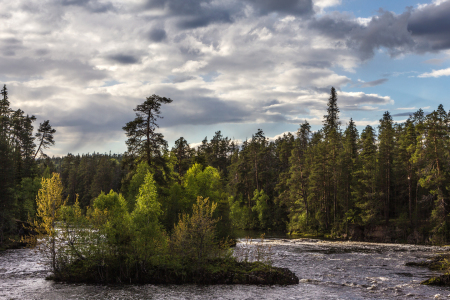 Bild-Nr: 11706336 Am Kiutaköngäs im Oulanka Nationalpark in Finnland 6 Erstellt von: Anja Schäfer