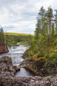 Bild-Nr: 11708398 Am Kiutaköngäs im Oulanka Nationalpark in Finnland Erstellt von: Anja Schäfer