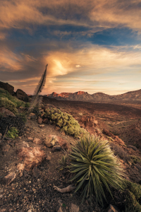 Bild-Nr: 11709384 Teneriffa - Canadas del Teide Erstellt von: Jean Claude Castor