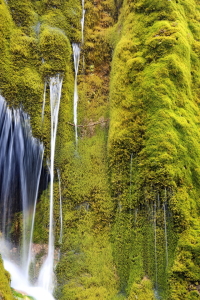 Bild-Nr: 11709516 Wasserfall Erstellt von: fotoping