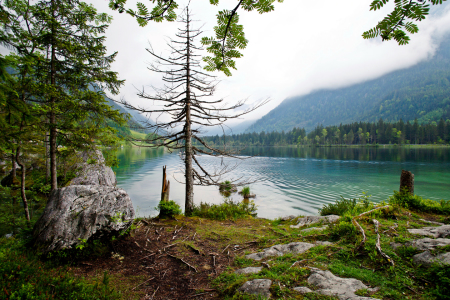 Bild-Nr: 11710064 Hintersee Erstellt von: wompus