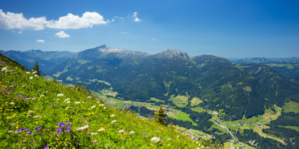 Bild-Nr: 11713920 Kleinwalsertal Erstellt von: Walter G. Allgöwer