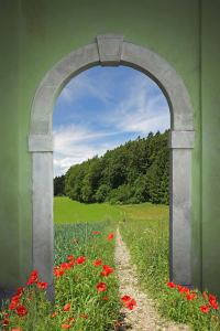 Bild-Nr: 11716654 Torbogen mit Mohnblumen am Weg Erstellt von: SusaZoom