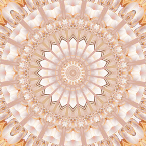 Bild-Nr: 11717380 Mandala Lichtwesen Erstellt von: Christine Bässler