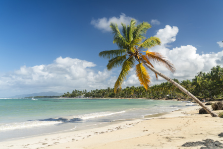 Bild-Nr: 11717950 Traumstrand in der Karibik Erstellt von: reisefoto