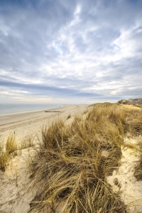 Bild-Nr: 11718942 Sylt Südkap Dünen Erstellt von: Ursula Reins