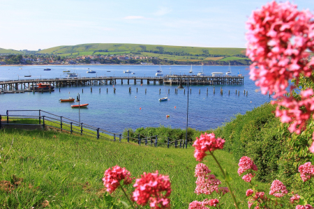 Bild-Nr: 11719554 Swanage II Erstellt von: SusaZoom