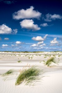 Bild-Nr: 11721148 Nordseestrand Amrum Erstellt von: Reiner Würz