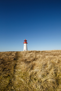 Bild-Nr: 11721484 SYLT  WESTTURM Erstellt von: Ursula Reins