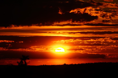 Bild-Nr: 11726742 Sonnenuntergang Erstellt von: birdPIXX