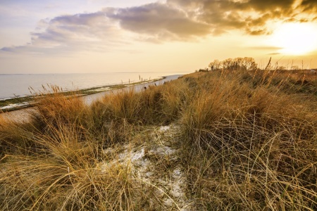 Bild-Nr: 11729662 GOLDEN  BALTIC  SEA  COAST Erstellt von: Ursula Reins