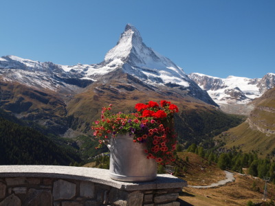 Bild-Nr: 11731052 Matterhorn Erstellt von: birdPIXX