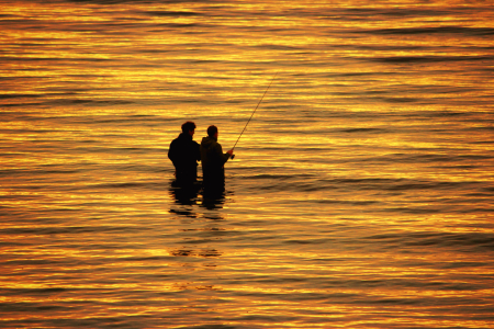 Bild-Nr: 11733042 Goldenes Meer Erstellt von: Heike  Hultsch