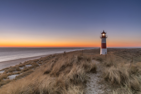 Bild-Nr: 11736902 Golden Morning - Sylt Erstellt von: Achim Thomae