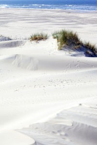 Bild-Nr: 11741844 Dünen Erstellt von: wompus