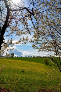 Bild-Nr: 11742238 Frühling Erstellt von: Claudia Evans