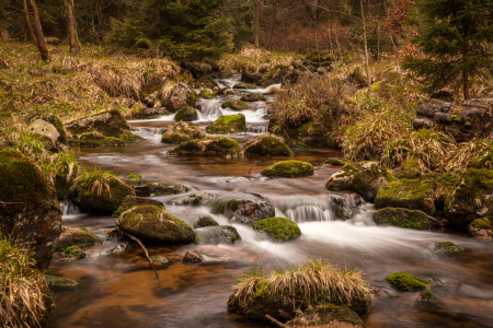 Bild-Nr: 11742546 Im Bodetal Erstellt von: FotoDeHRO