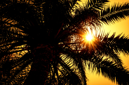 Bild-Nr: 11745002 tropical sunset Erstellt von: spima