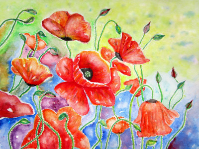 Bild-Nr: 11745260 Mohn-Wiese Aquarell Erstellt von: siegfried2838