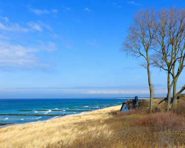 Bild-Nr: 11746744 Ahrenshoop Ende März Erstellt von: Gisela Scheffbuch