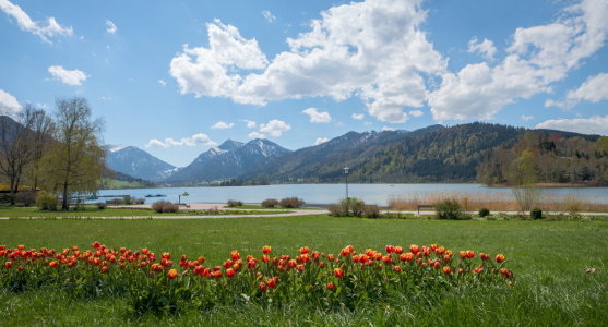 Bild-Nr: 11747018 Schlierseefrühling Erstellt von: SusaZoom