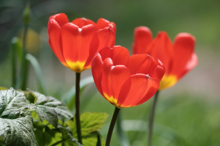 Bild-Nr: 11747196 Farbenleuchten Erstellt von: Ostfriese