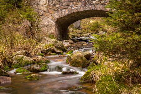 Bild-Nr: 11747812 Bärenbrücke Erstellt von: FotoDeHRO