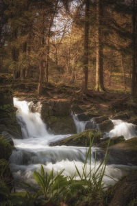 Bild-Nr: 11747858 harzer wasserfall Erstellt von: hgfotografie