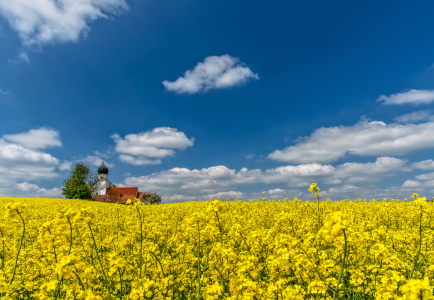 Bild-Nr: 11750240 Frühling in Bayern Erstellt von: Achim Thomae