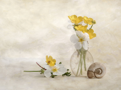 Bild-Nr: 11751618 Blütenstillleben Erstellt von: Rolf Eschbach