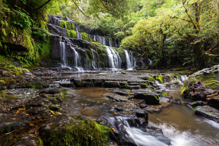 Bild-Nr: 11751648 Purakaunui Falls Erstellt von: TomKli