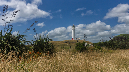 Bild-Nr: 11754574 Leuchtturm im Getreidefeld Erstellt von: alphafotos