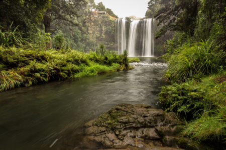 Bild-Nr: 11756500 Whangarei Falls Erstellt von: TomKli