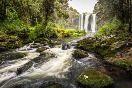 Bild-Nr: 11758152 Whangarei Falls Erstellt von: TomKli