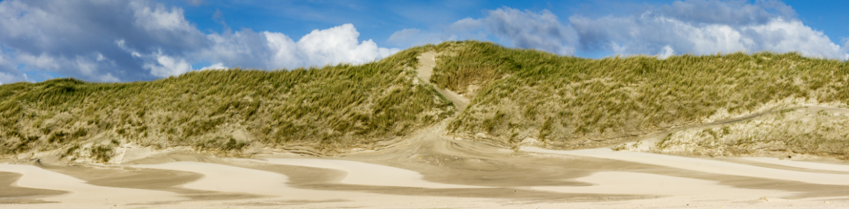 Bild-Nr: 11758258 Dünenlandschaft Erstellt von: Armin Redöhl